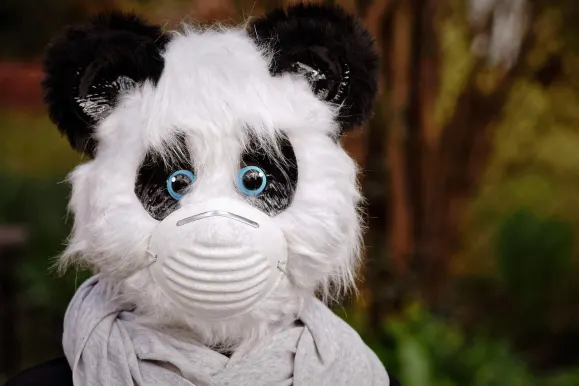 Bitcoza Cazino Cazinou Suport